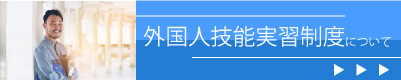 外国人技能実習制度について詳しく