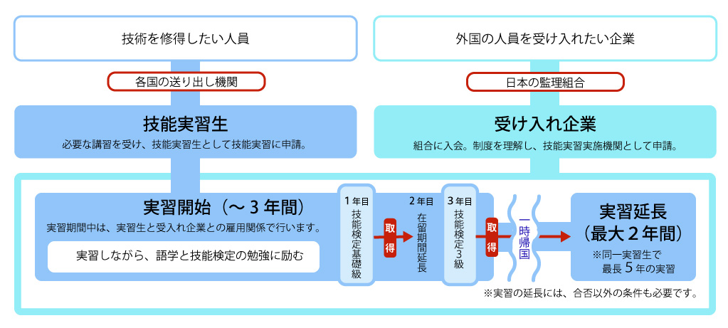 外国人技能実習制度の流れの図解