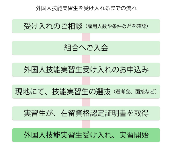 技能実習生、受け入れに至るまで